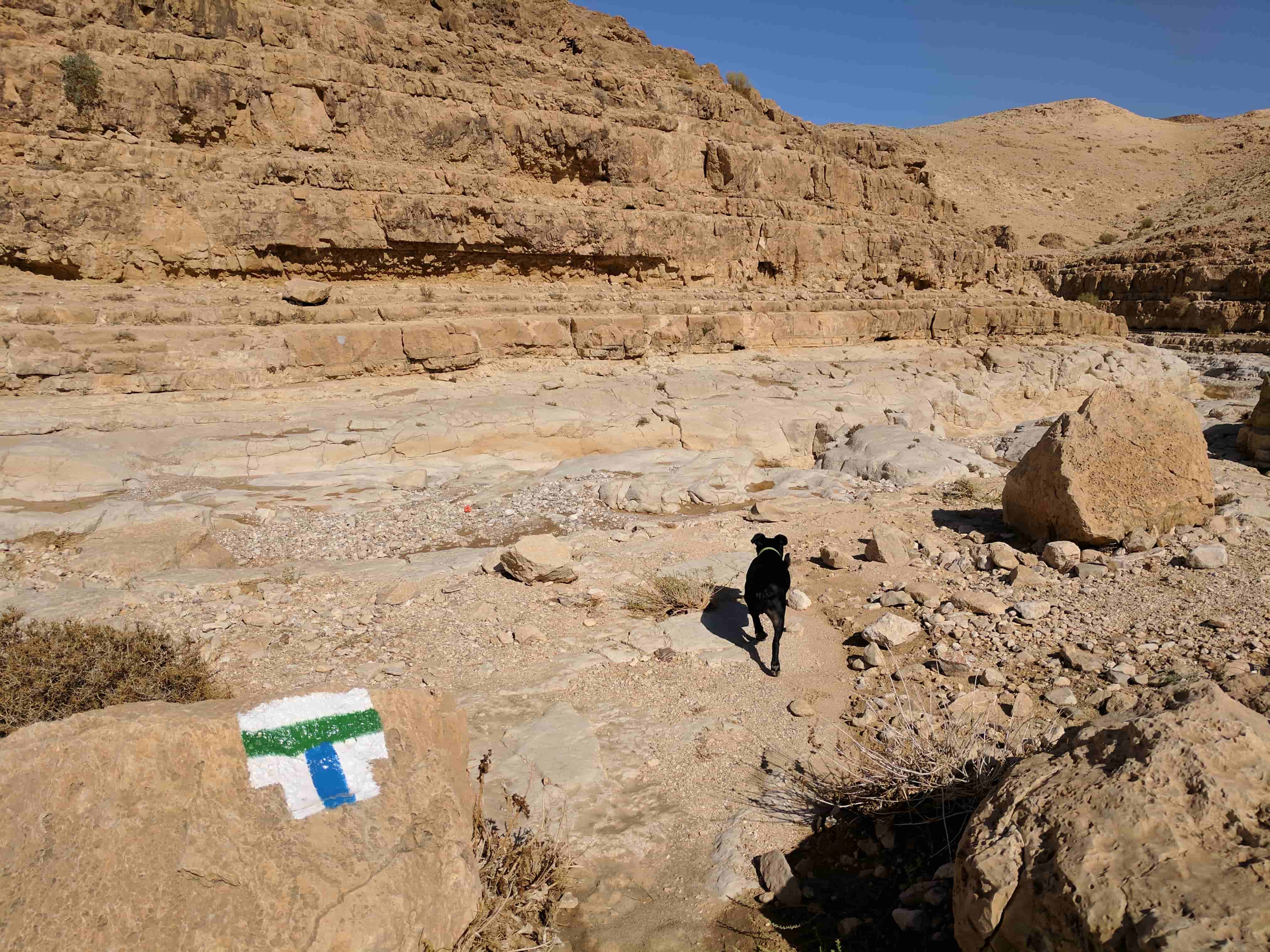 הכניסה לנחל צאלים עליון.